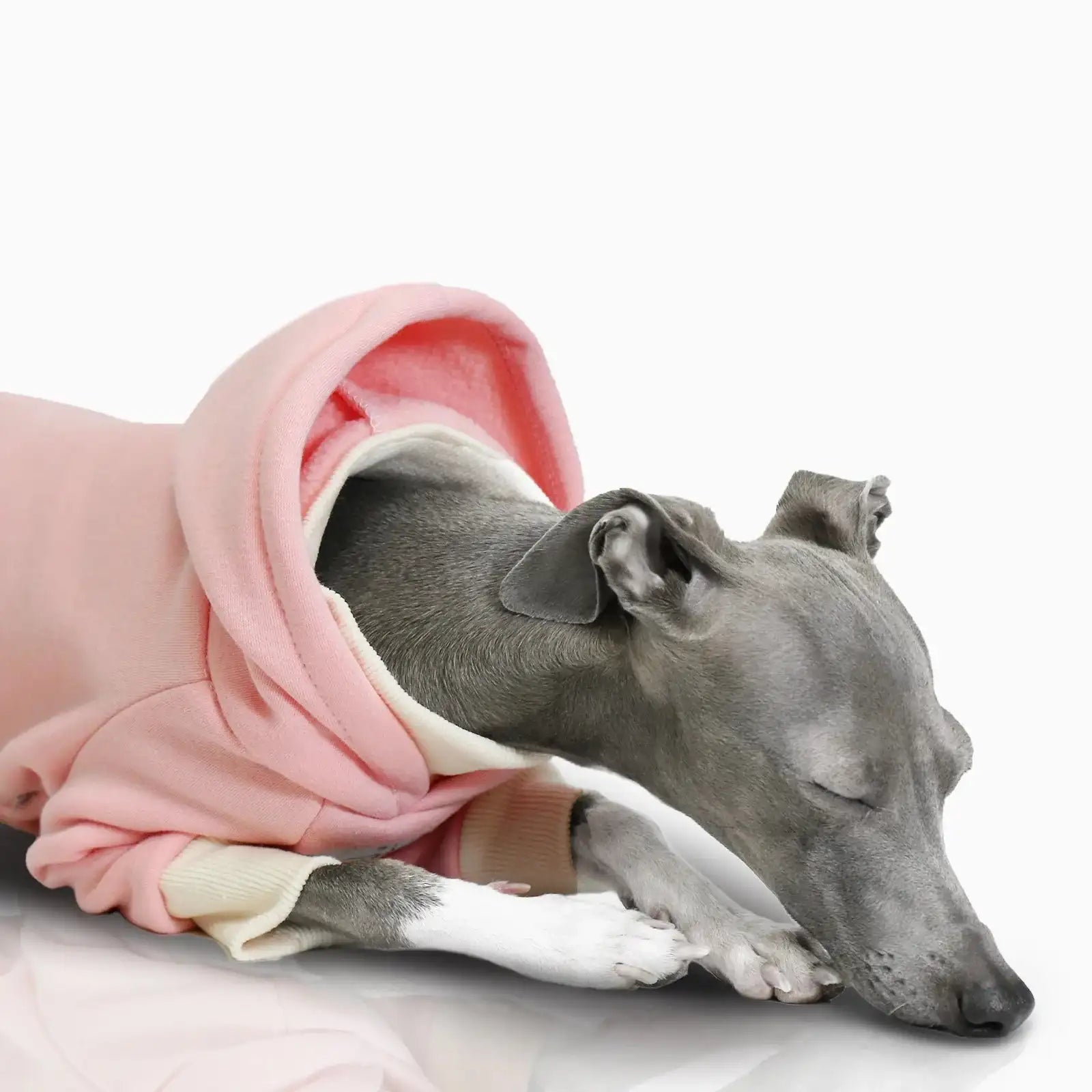 Sweat A Capuche Doux Pour Lévrier Et Whippet