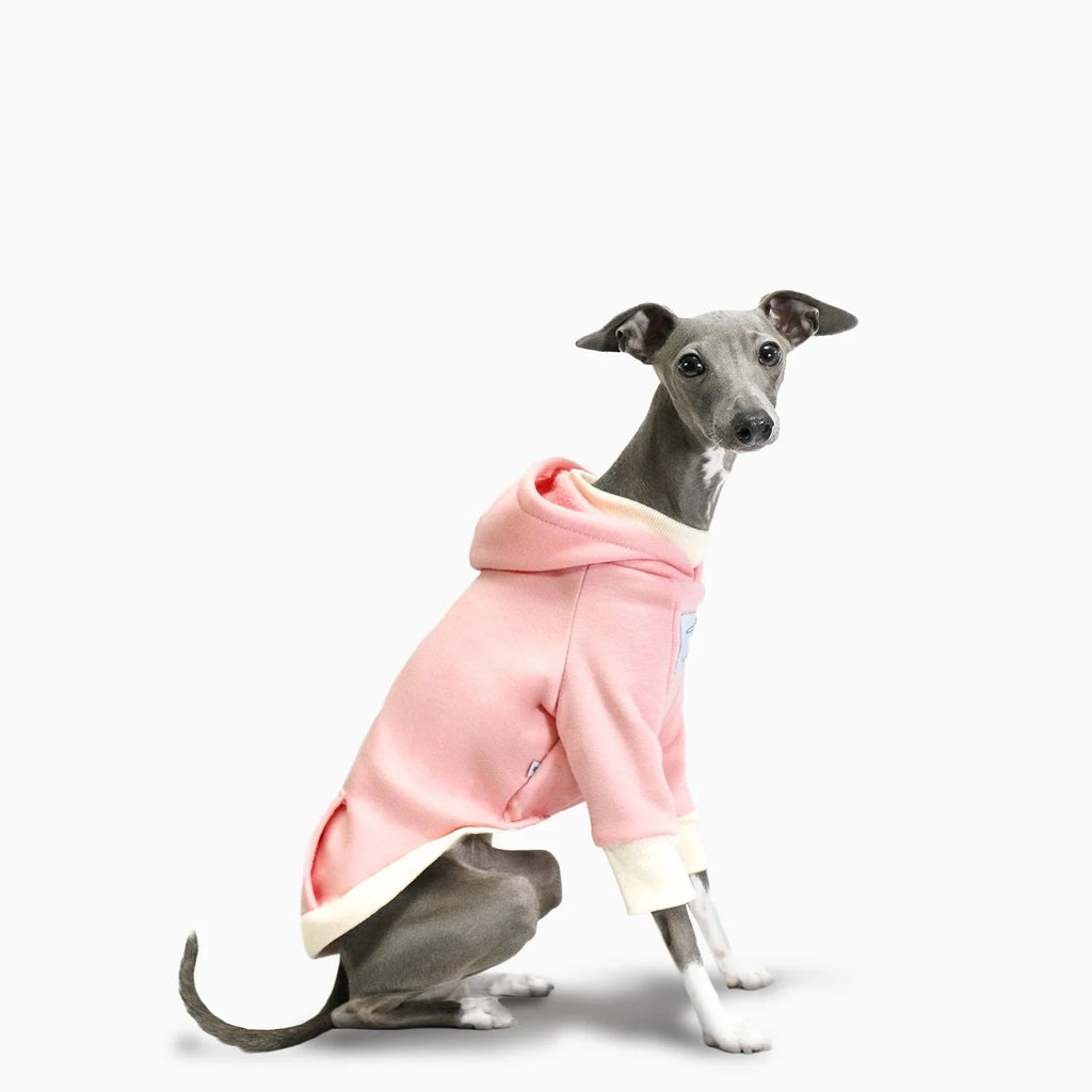 Sweat A Capuche Doux Pour Lévrier Et Whippet