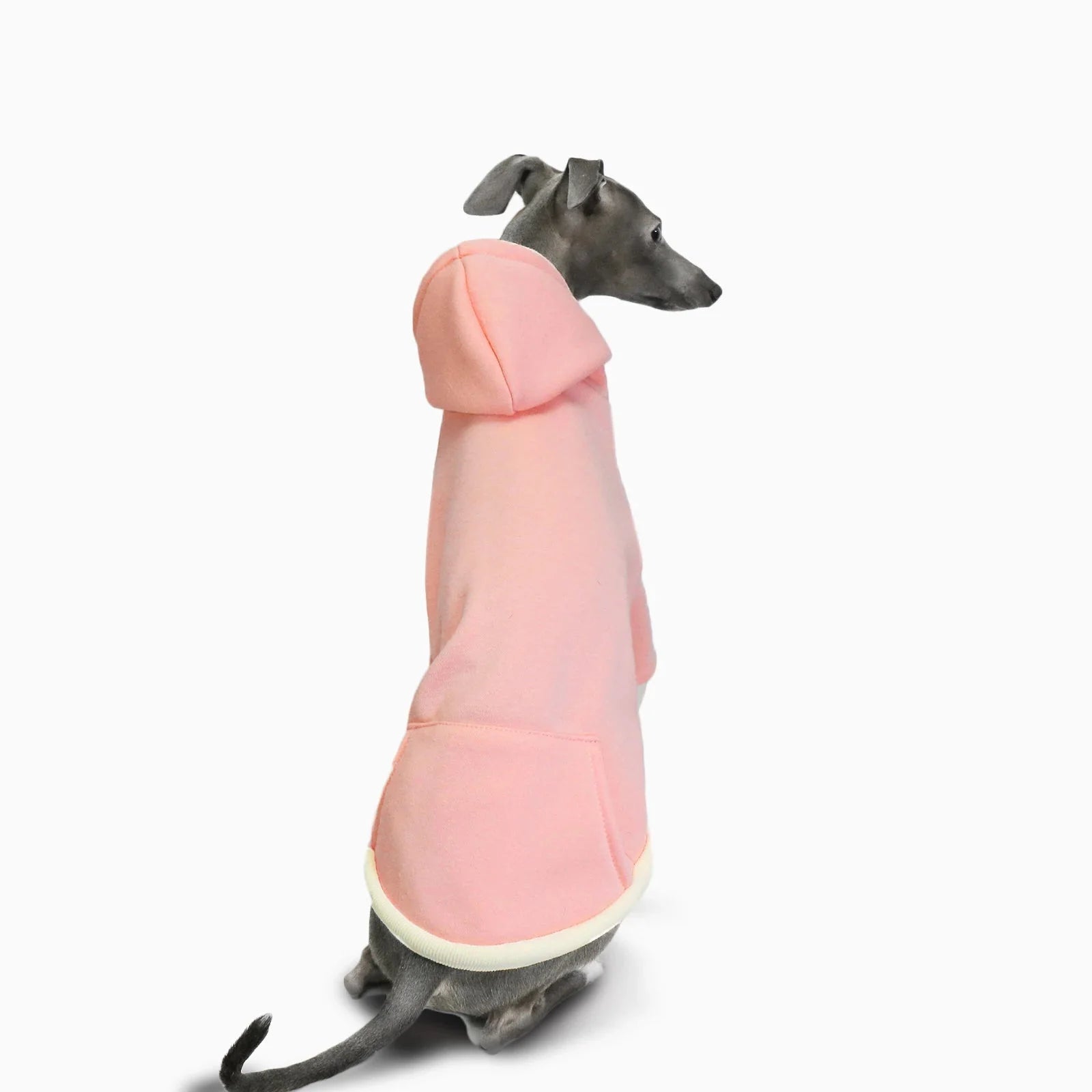 Sweat A Capuche Doux Pour Lévrier Et Whippet