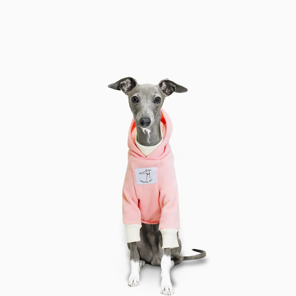 Sweat A Capuche Doux Pour Lévrier Et Whippet