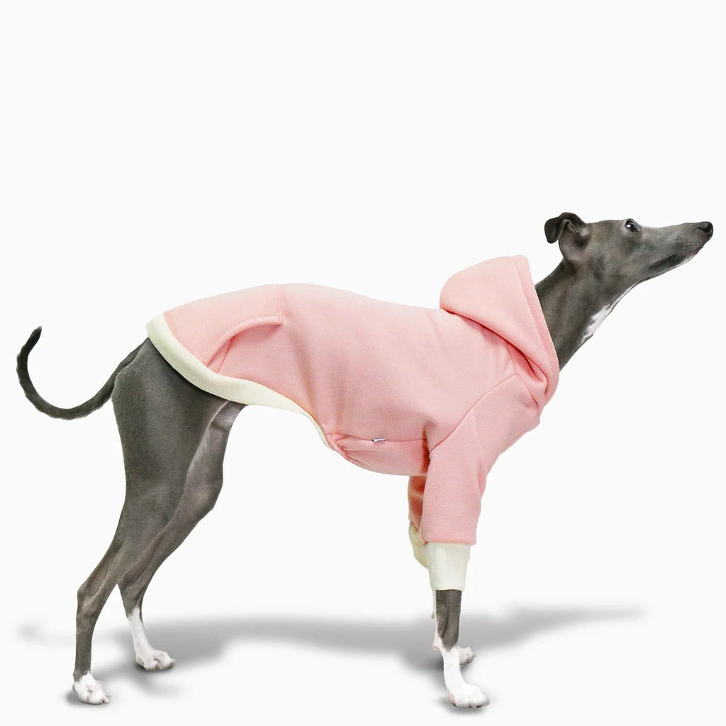 Sweat A Capuche Doux Pour Lévrier Et Whippet