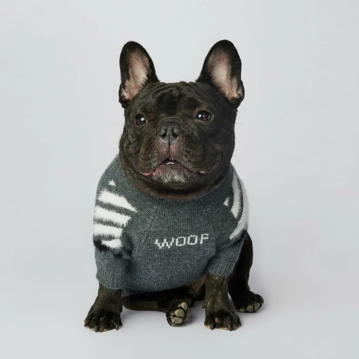 Pull Chaud Pour Chien Avec Motif Os