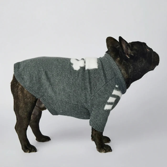 Pull Chaud Pour Chien Avec Motif Os
