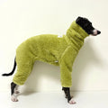 Pull chaud pour lévrier en tissu pelucheux vert porté par un chien lévrier noir et blanc