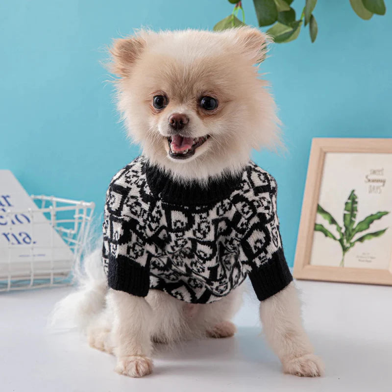 Pull Chien Christian Dog
