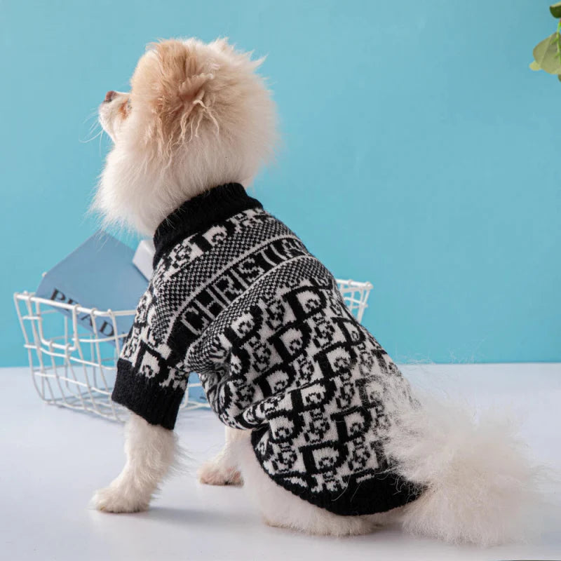 Pull Chien Christian Dog
