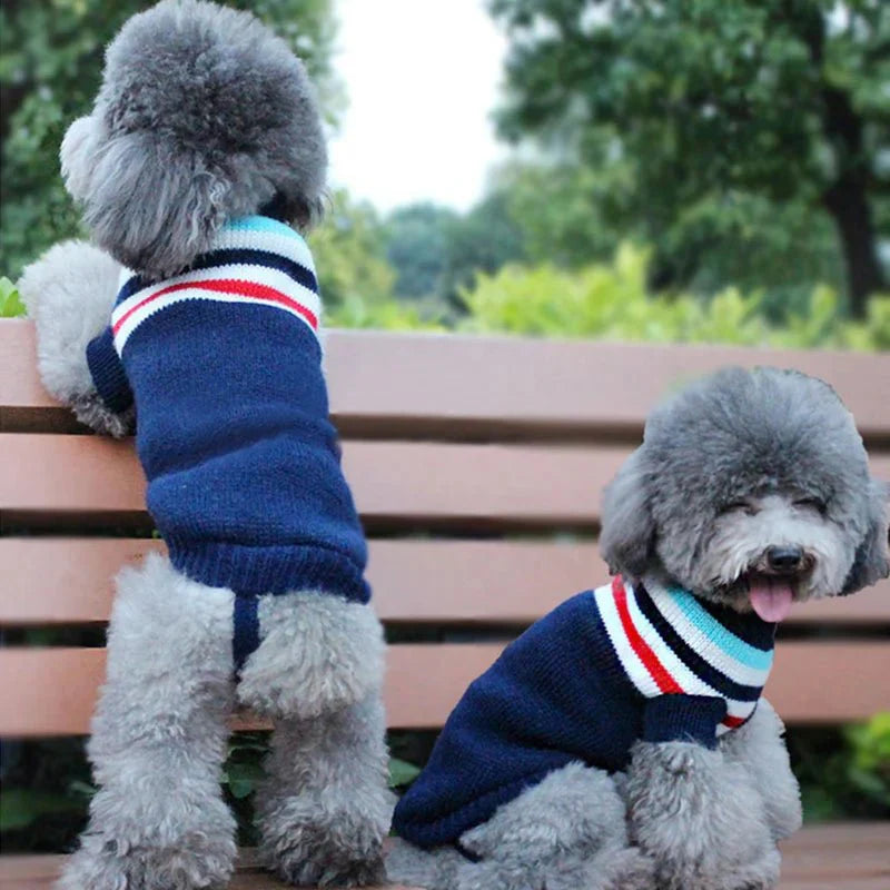 Pull Chien Col Roulé