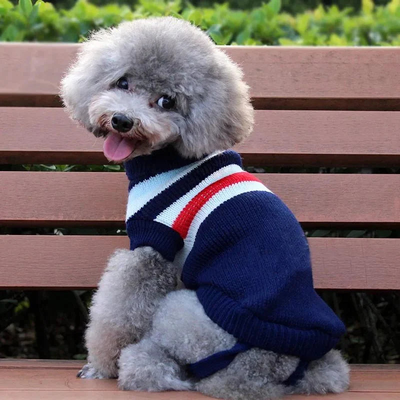 Pull Chien Col Roulé
