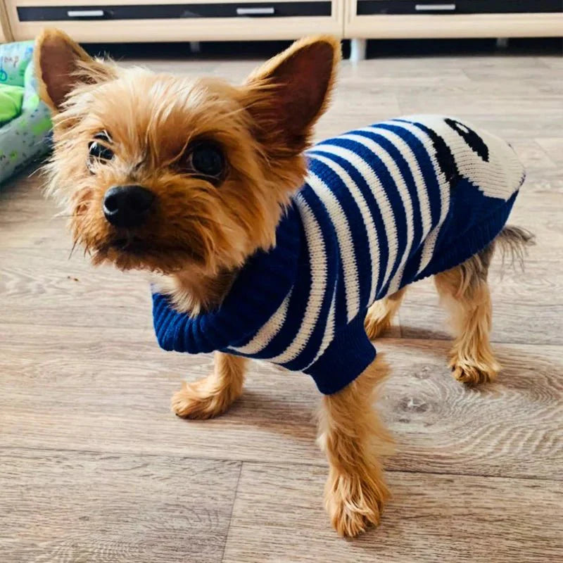 Pull Chien Col Roulé