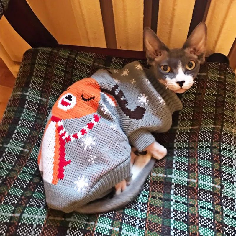 Pull Chien Noël