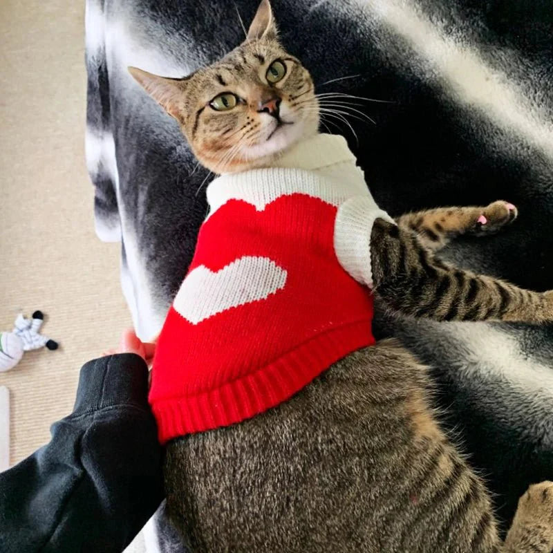 Pull Coeur pour Chat