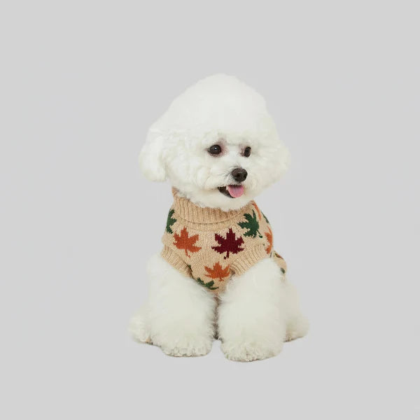 Pull Col Double Pour Chien Motif Feuilles