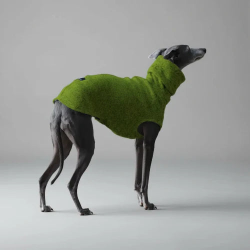 Pull col roulé pour lévrier en vert, parfait pour garder votre chien au chaud lors de promenades en extérieur