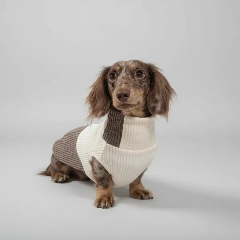 Pull Col Roulé Confortable Pour Chien Teckel
