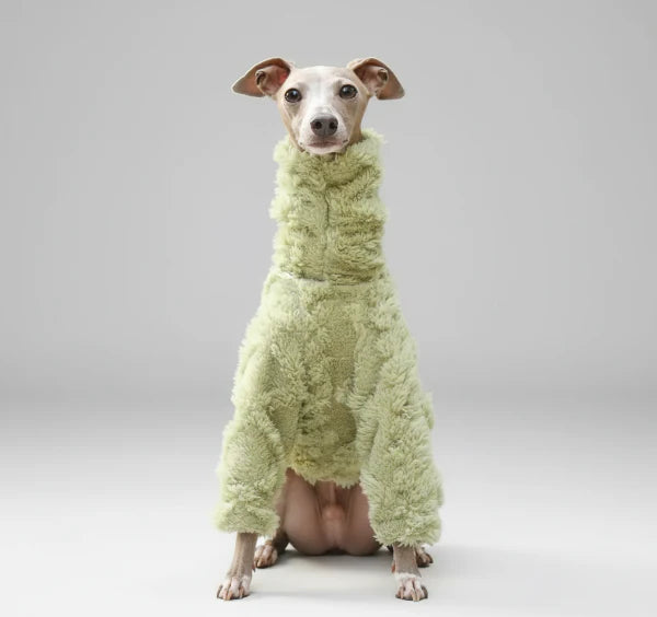 Pull Col Roulé En Polaire Pour Lévrier Et Whippet