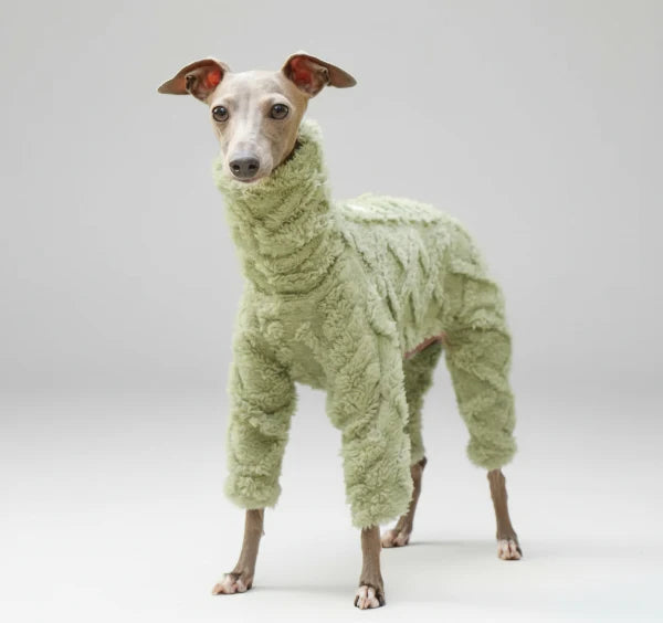 Pull Col Roulé En Polaire Pour Lévrier Et Whippet