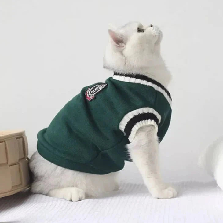 Pull College School pour Chat