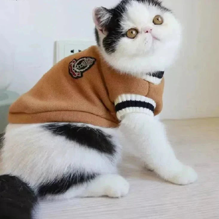 Pull College School pour Chat
