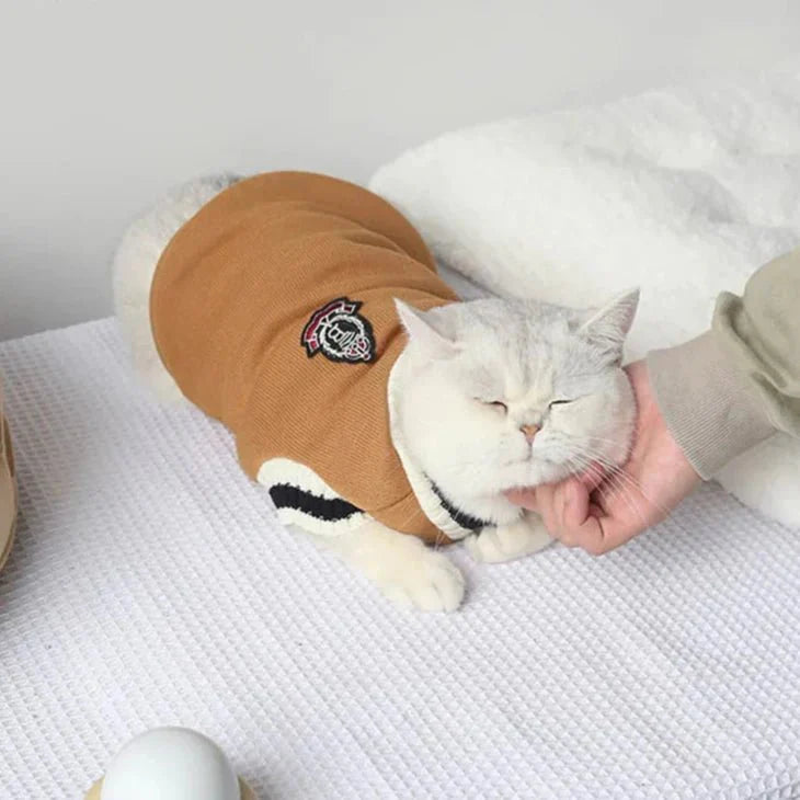 Pull College School pour Chat