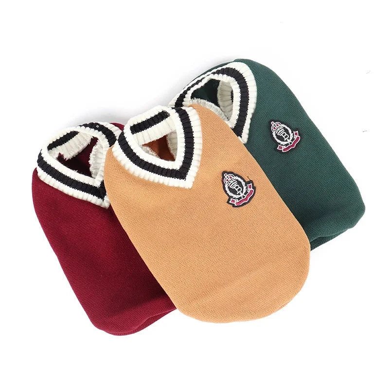 Pull College School pour Chat