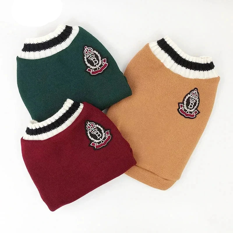 Pull College School pour Chat