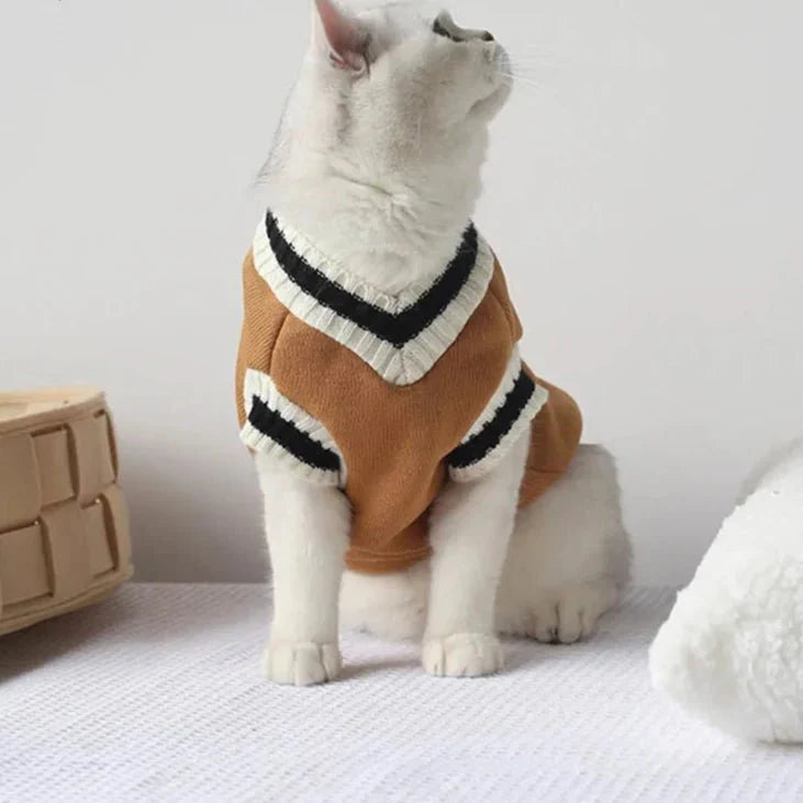 Pull College School pour Chat