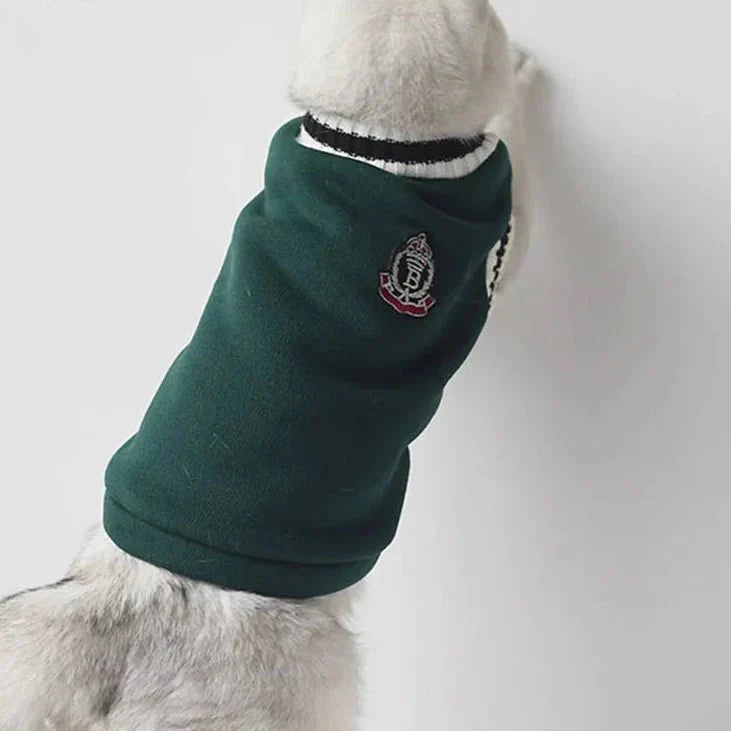 Pull College School pour Chat