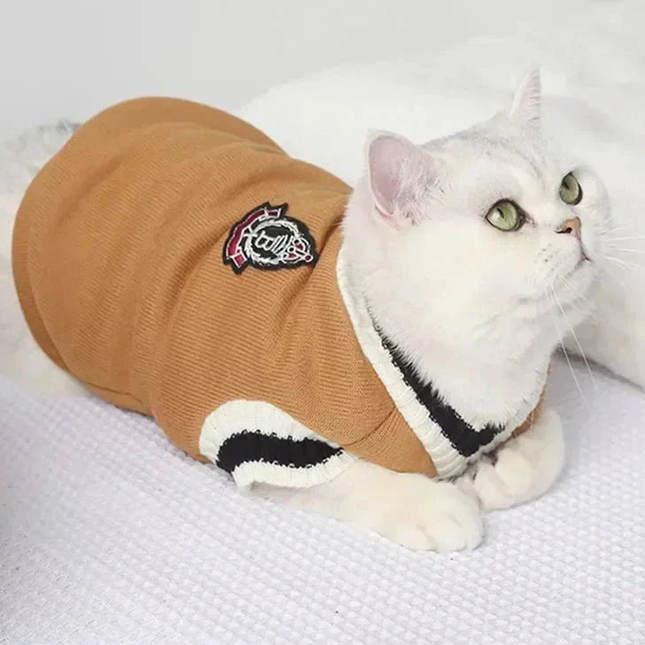 Pull College School pour Chat
