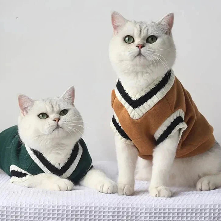 Pull College School pour Chat