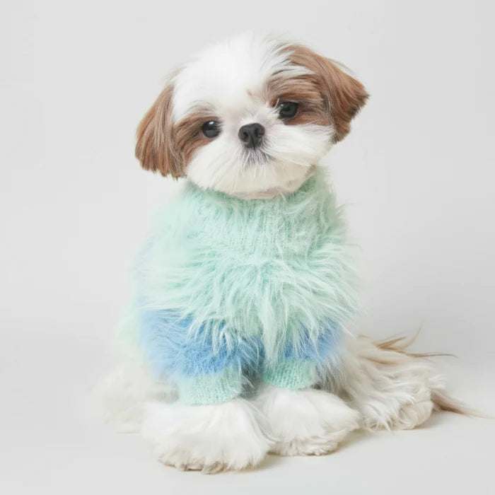 Pull  Doux Pour Chien