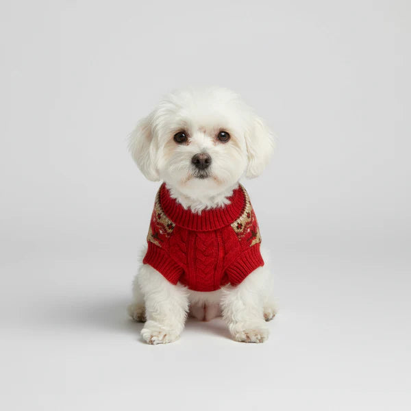 Pull Doux Confortable De Noël Pour Chien