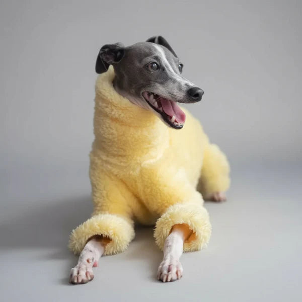 Pull Doux Confortable Pour Lévrier Et Whippet