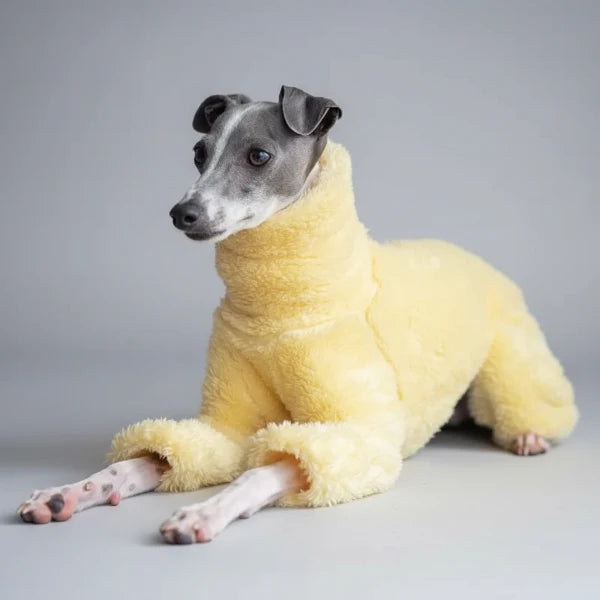Pull Doux Confortable Pour Lévrier Et Whippet