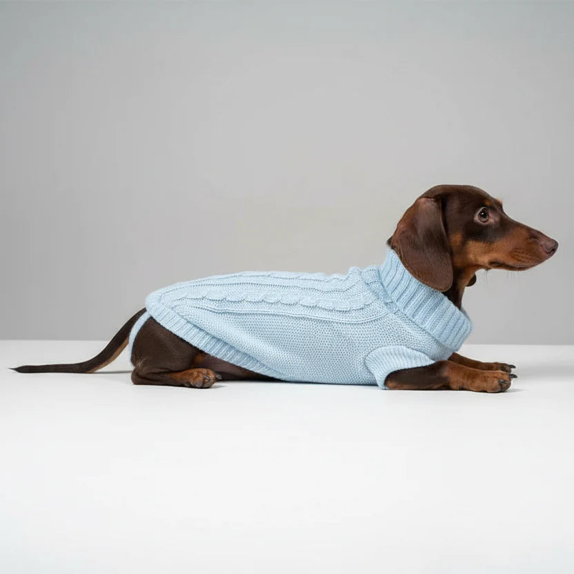 Pull Élégant Tricoté Pour Chien Teckel