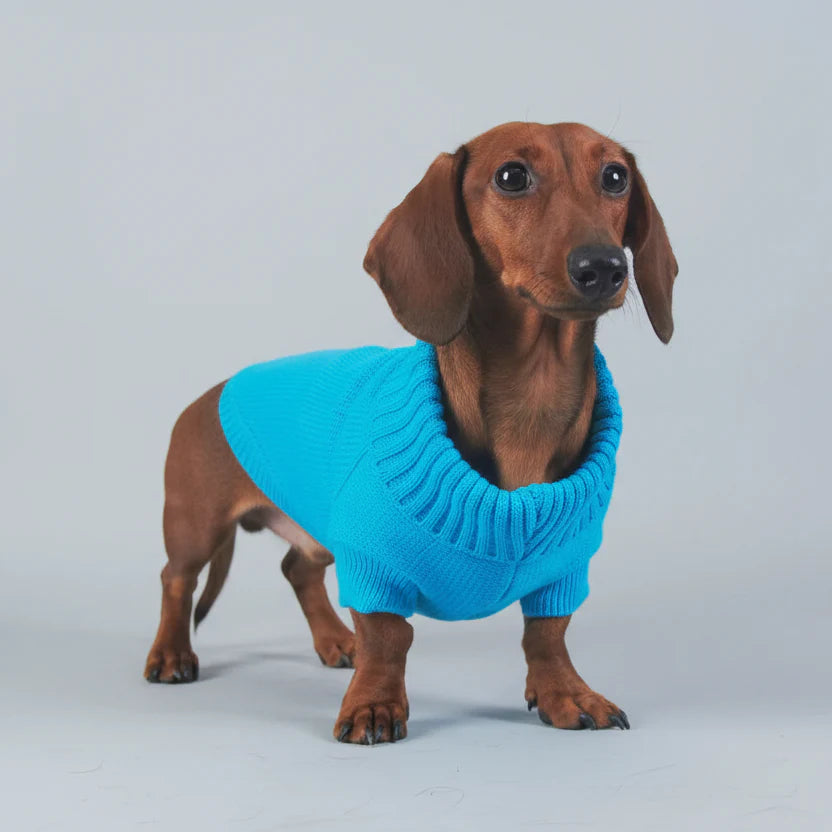 Pull Élégant Tricoté Pour Chien Teckel
