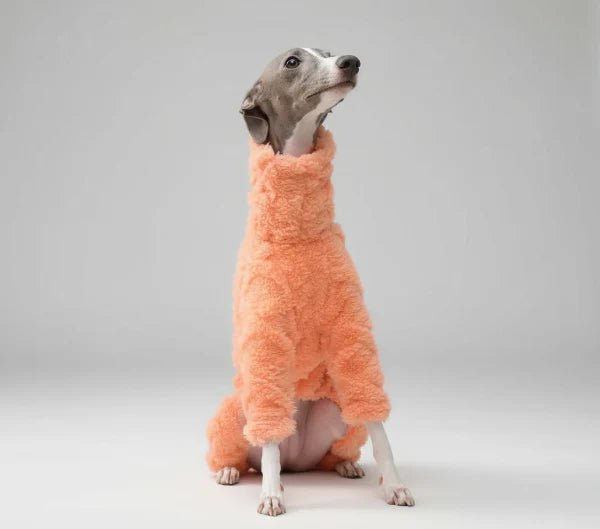Pull Col Roulé En Polaire Pour Lévrier Et Whippet