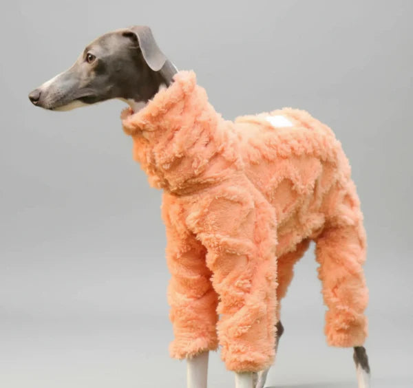 Pull Col Roulé En Polaire Pour Lévrier Et Whippet