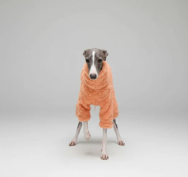 Pull Col Roulé En Polaire Pour Lévrier Et Whippet