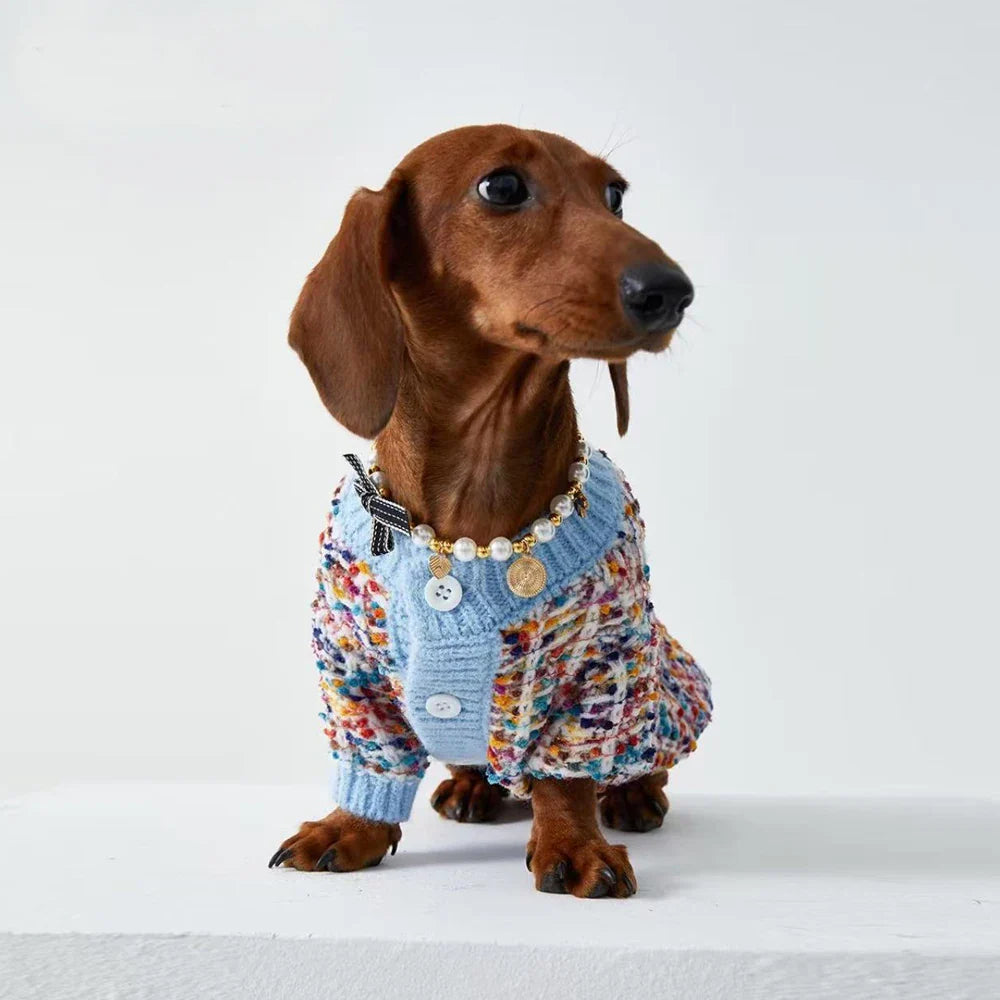 Pull Hiver Pour Teckel Confortable Design Multicolore