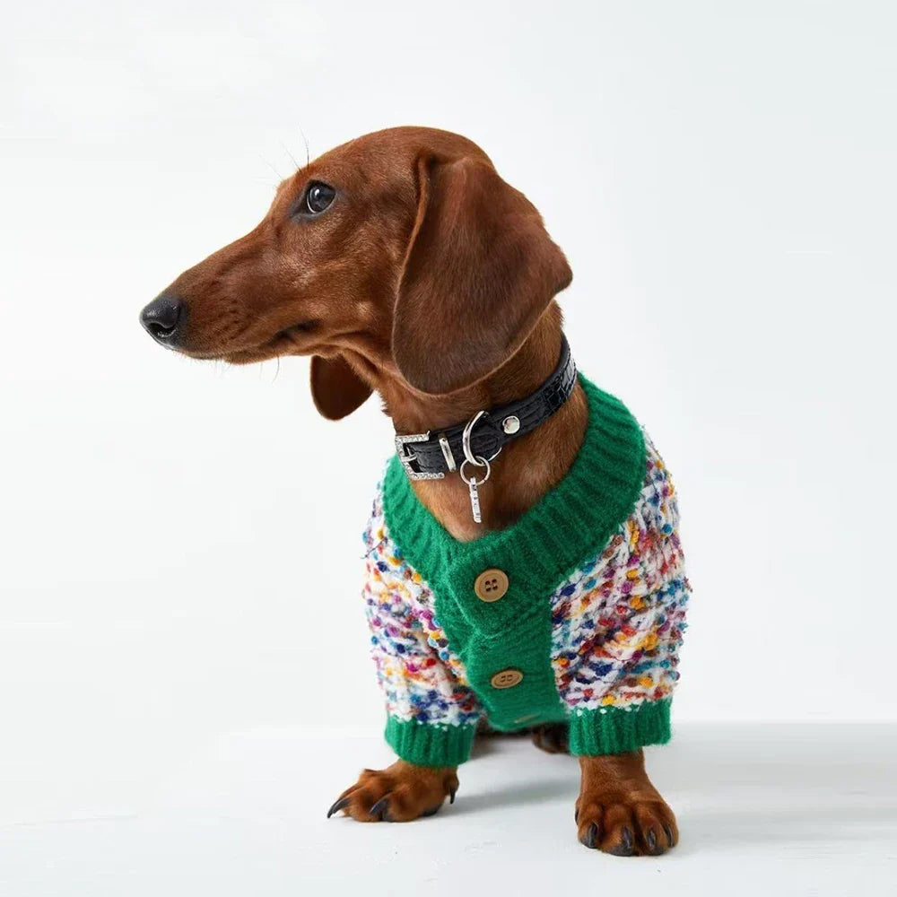 Pull Hiver Pour Teckel Confortable Design Multicolore