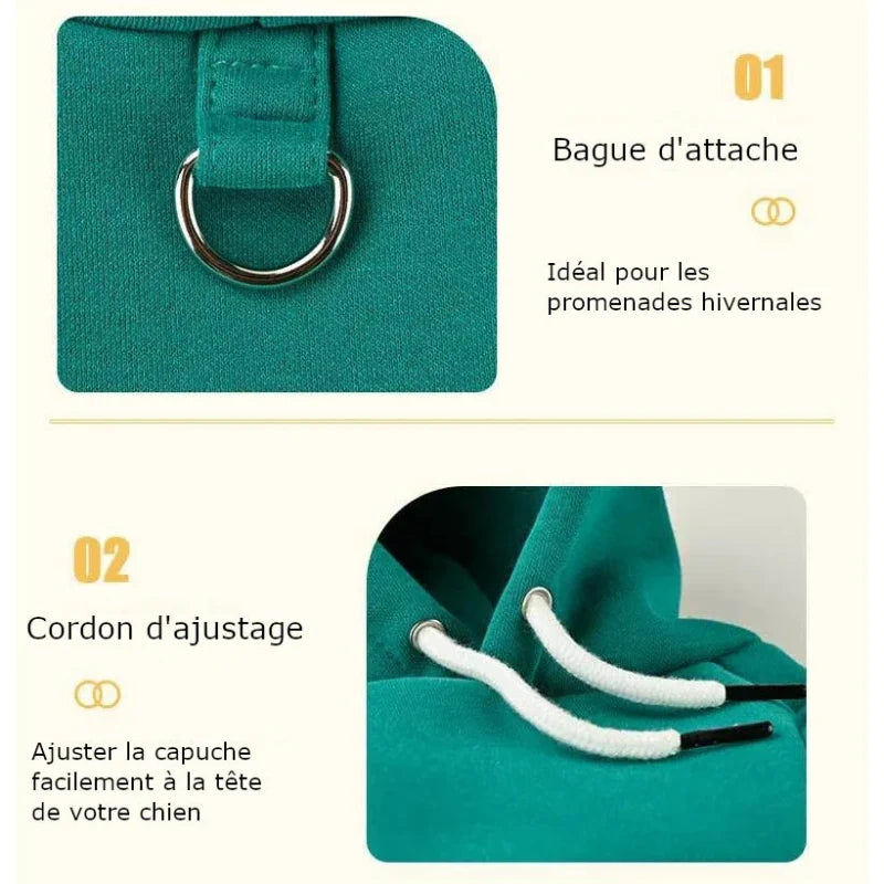 Pull Kangourou Chien