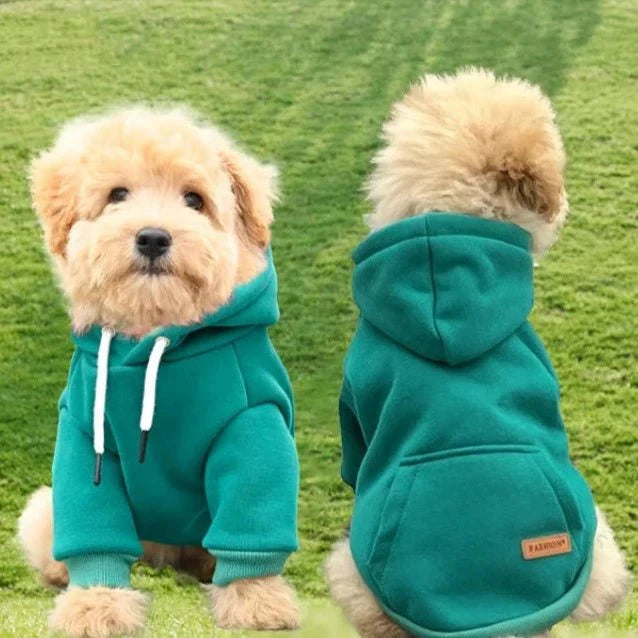 Pull Kangourou Chien