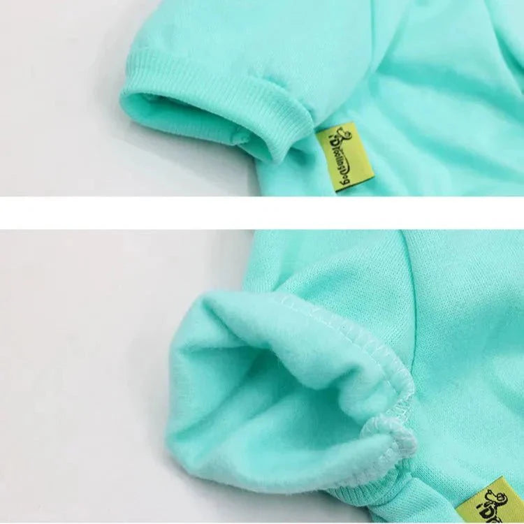 Pull Kangourou pour Chat