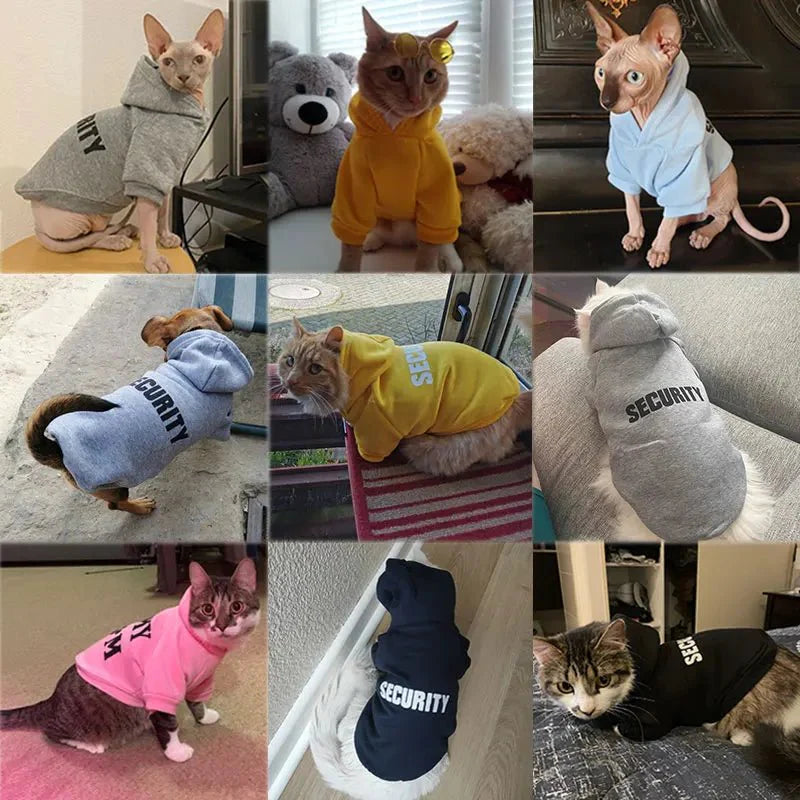 Pull Kangourou pour Chat