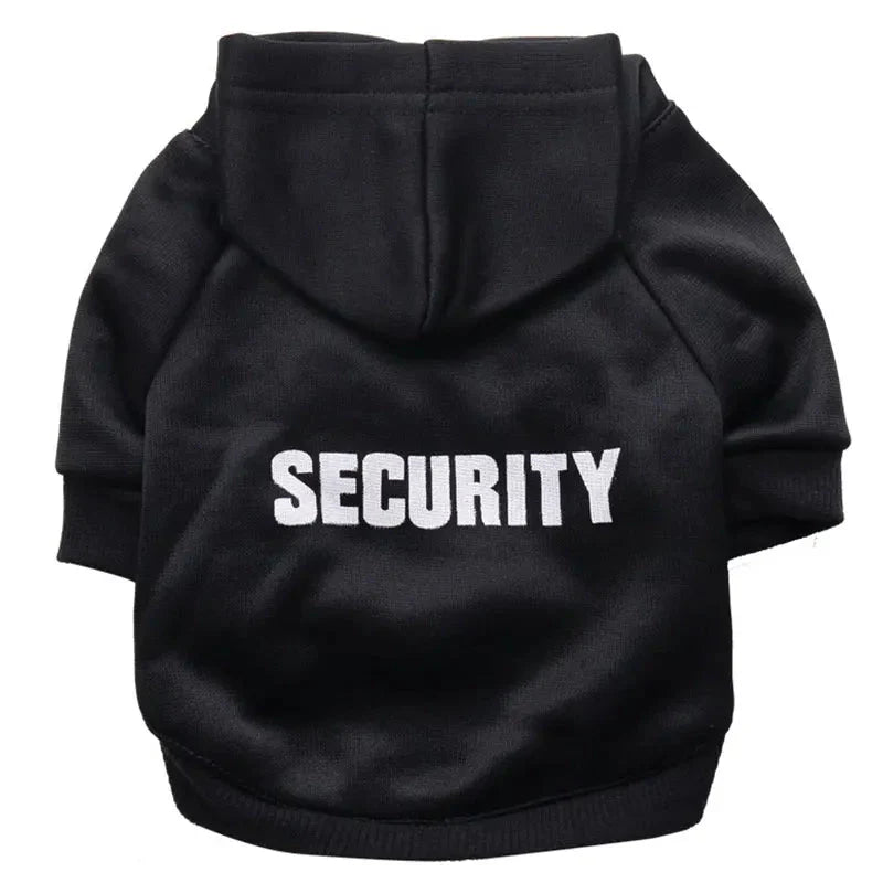 Pull Kangourou pour Chat