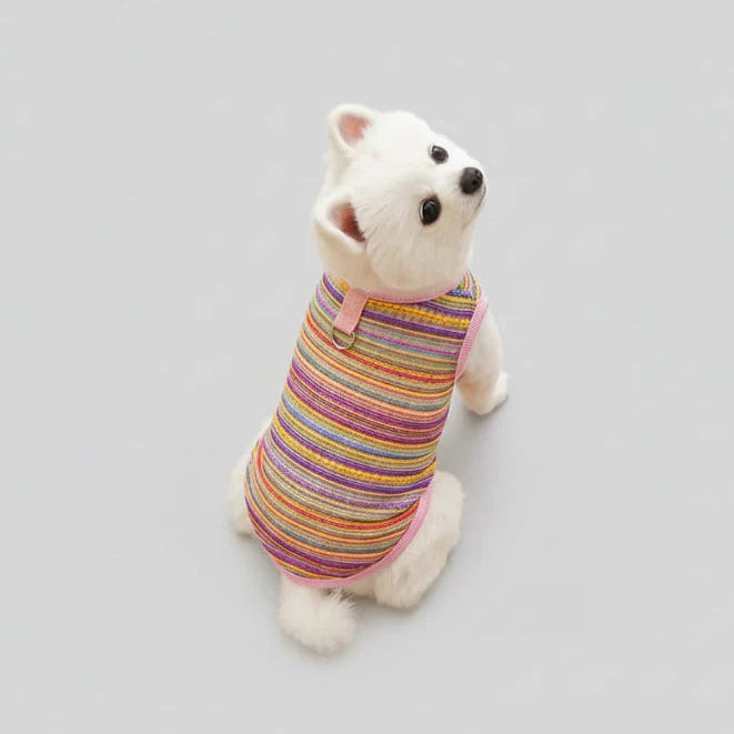 Pull Léger Confortable Et Elégant Pour Chien