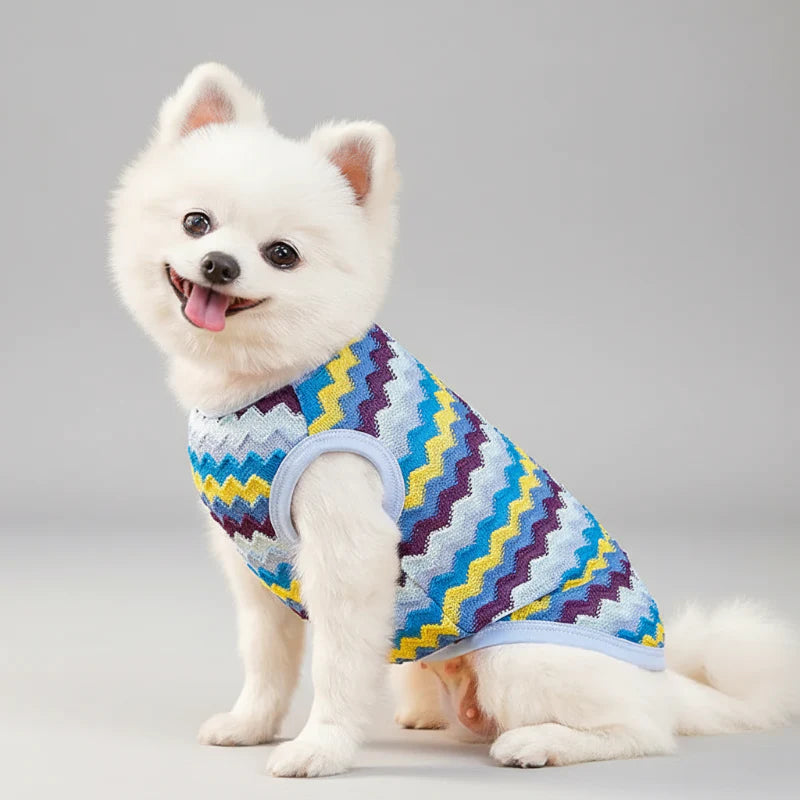 Pull Léger Pour Chien Fin Et Respirant