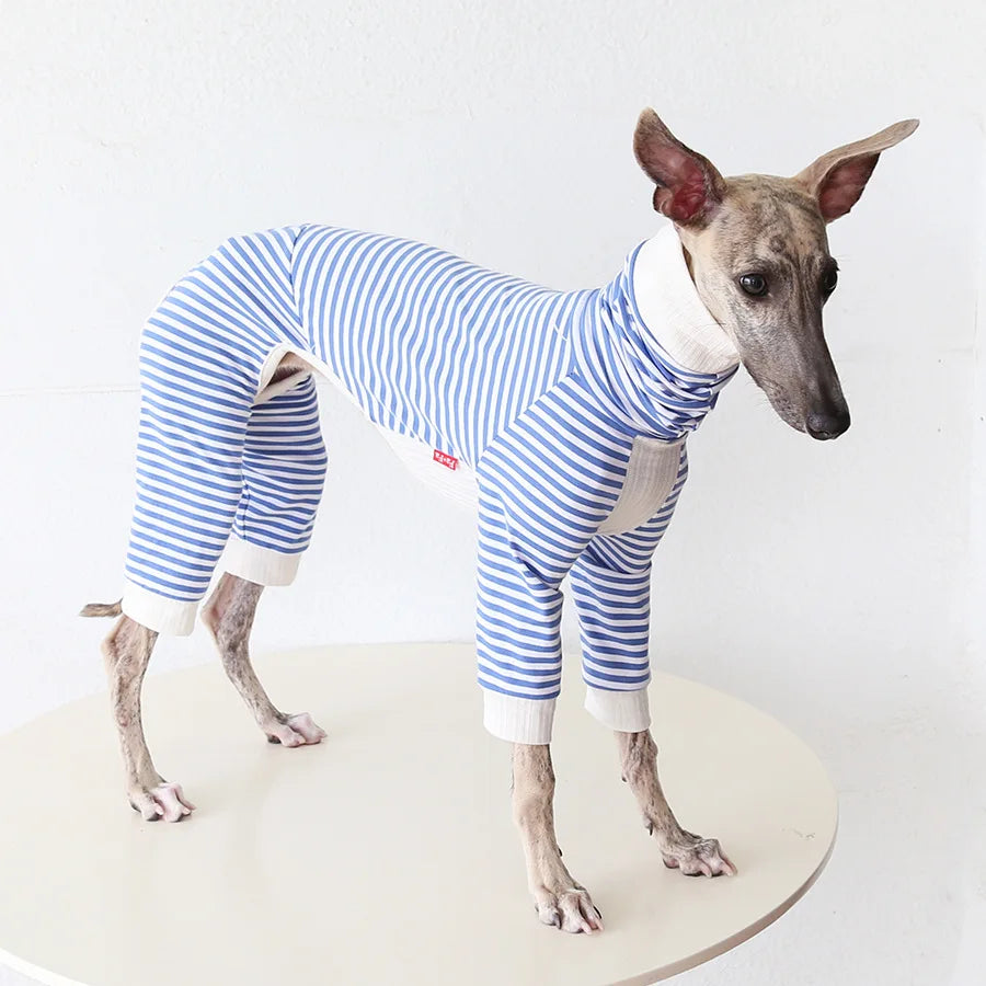 Pull Léger Confortable Pour Lévrier Et Whippet