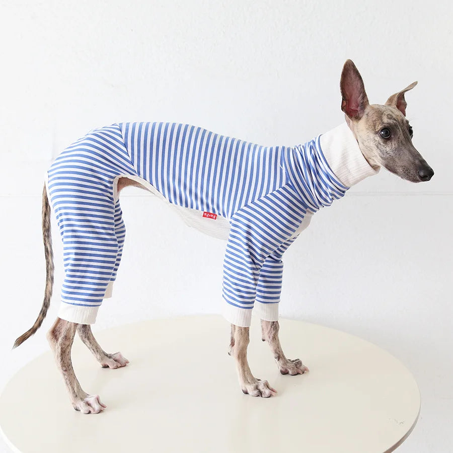 Pull Léger Confortable Pour Lévrier Et Whippet