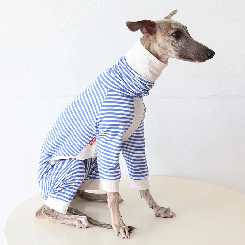 Pull Léger Confortable Pour Lévrier Et Whippet